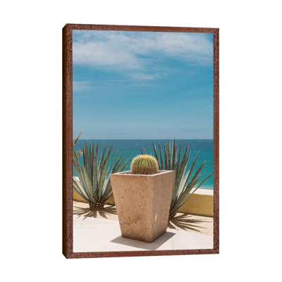 Cabo Cactus by Bethany Young - Print on Canvas