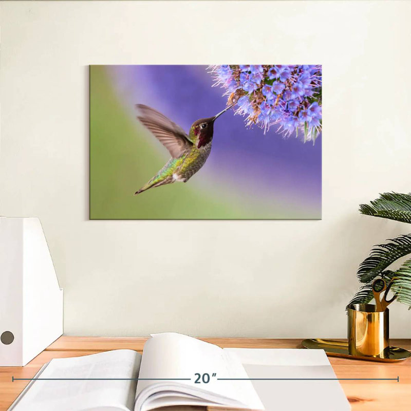 Brampt Nectar Sipping Hummingbird, 8" H x 12" W