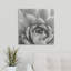 « iii » par laura marshall, reproduction de photo Garden Succulent-19204298-26544012