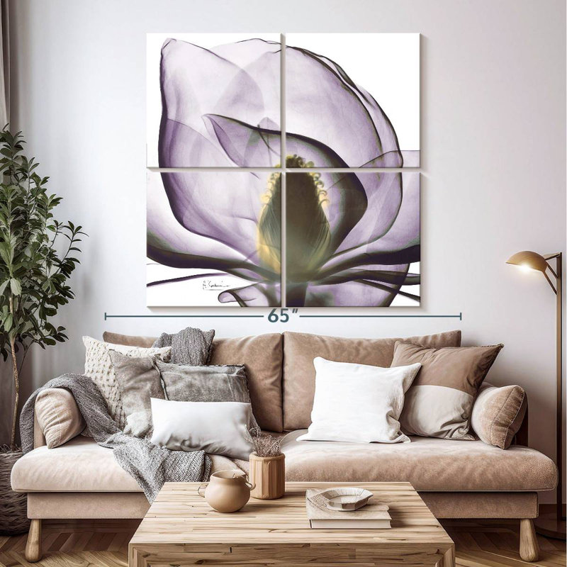 Harnek Magnolia X-ray