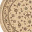 Hand Knotted Area Rug in Ivory
