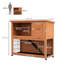 Weather Resistant Rabbit Hutch