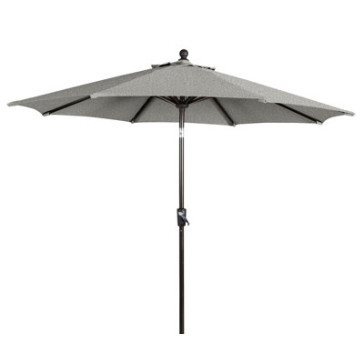 Market Umbrella