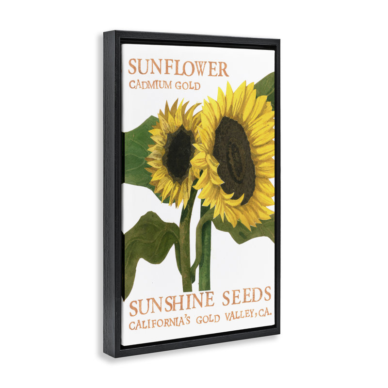 «Sunflower Seeds Design», toile flottante brune encadrée par Nancy Overton, H 25 po x l 17 po, Cadre flottant noir de jais