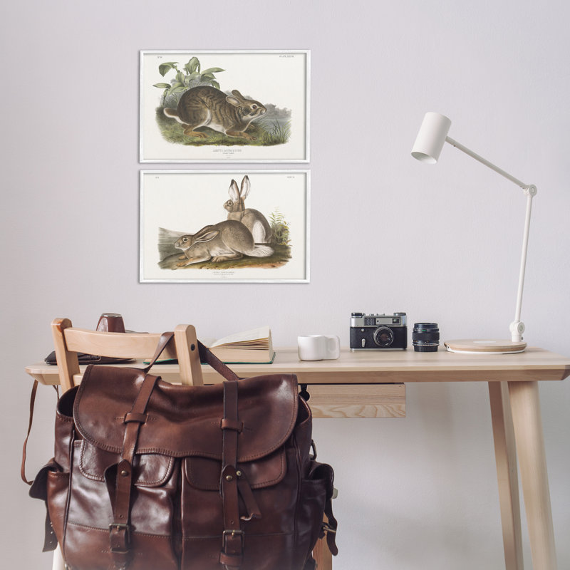 «Gentle Resting Cottage Rabbit», ensemble de 2 giclées par Wild Apple Portfolio, Estampe numérique encadrée blanc bord de mer