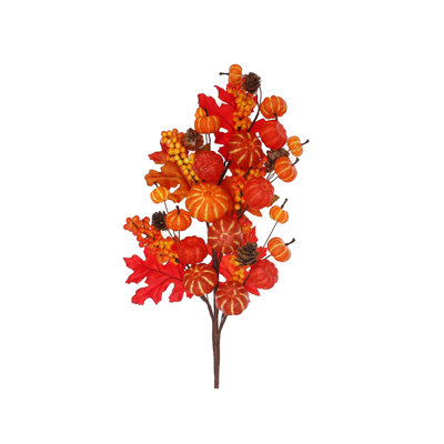 Citrouilles et pommes de pin mélangées
