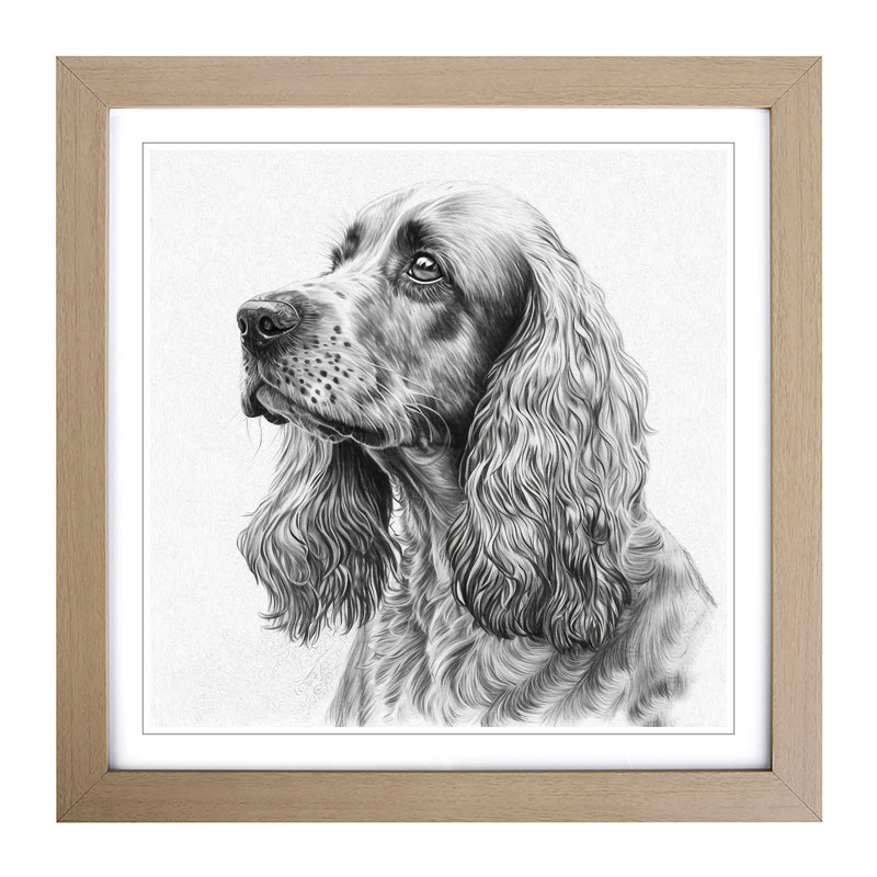Cocker Spaniel Drawing - Framed Print, Oak