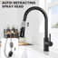 Rebrilliant Kitchen Faucet