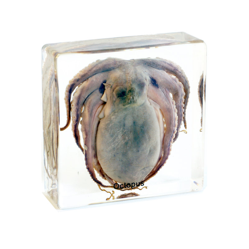 Piccirillo Animals Figurines & Sculptures