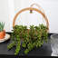 Burgal Hanging Planter-1161400816