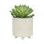 Jardinières texturées S / 2 6/8 po-349624401