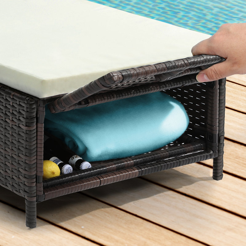 Chaise longue d'extérieur en osier avec espace de rangement Anayelly (ensemble de 2), Coussin crème / cadre brun