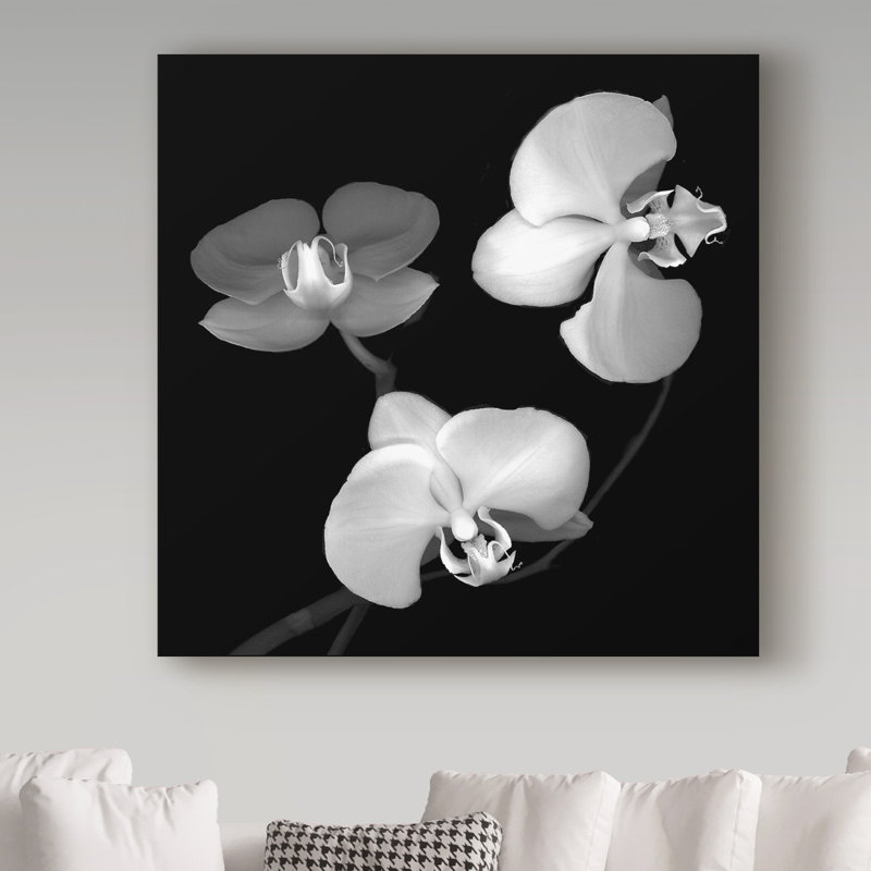 «Three Orchids Black and White» par Dosta, impression sur toile tendue, H 14 po x l 14 po x P 2 po