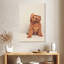 Chiot cockapoo-2123497250