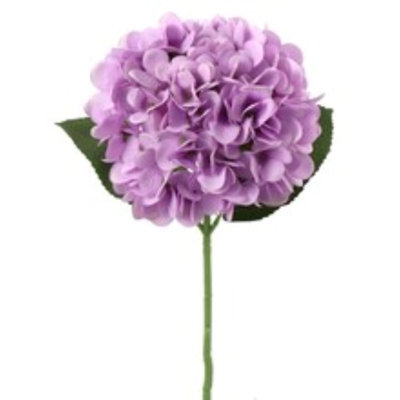 Tige d'hortensia 18 po - paquet de 6