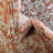 Weingartner Oriental Indoor Rug-1222104310