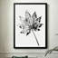 Feuille moderne monochromatique abstraite avec veines complexes, style de photographie noir et blanc à contraste élevé. Toile encadrée 24 "x 36" avec cadre en bois noir