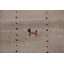 Tribal Wool Gabbeh Oriental Area Rug 6x8