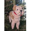 Arcadia Home Bulldog Hand-Knit Ornament