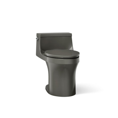 San Souci 1.28 GPF Elongated One-Piece toilet (Seat Included)