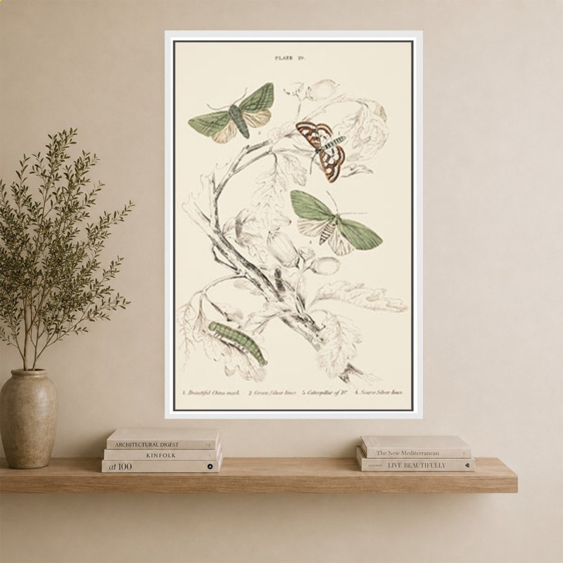 Mariposas I par V. Larkspar - Impression sur toile, 64" H x 44" W, Blanc