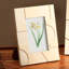 Cadre photo | Cadre décoratif élégant en résine ivoire 3D Cut | 5 x 7 po-448265846