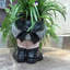 Ensemble de 2 statues de Friki Tiki