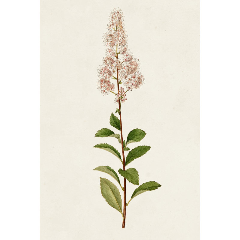 Mauve Garden Flowers II - peinture sur toile tendue, H 48 po x l 32 po x P 1,25 po