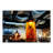 Datrick 7.5'' H Glass Novelty Pendant Shade