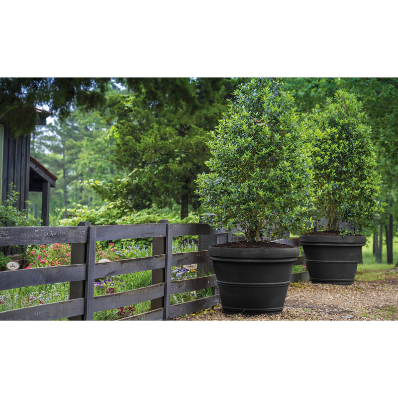 Deandrew Planter, Black, 14" H x 14" W x 14" D