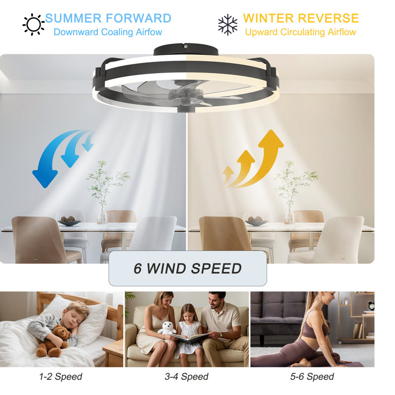 Justino 20" 6-Speed LED Dimmable Reversible Modern Caged Ceiling Fan With Light And Remote Control