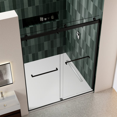 Porte de douche l 54 po x H 74 po