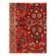 Floral Area Rug in Red
