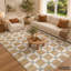 Geometric Area Rug-268266694