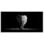 Éléphants en noir et blanc II-1513326951-1513326946