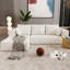 Combination Upholstered Sofa For Living Room