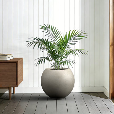 Grand pot à fleurs rond en béton gris 19,5 po avec intérieur amélioré et trous de drainage pour l'intérieur et l'extérieur