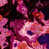 Magenta selected