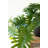 ARTIFICIAL MINI PHILODENDRON  IN A BLACK PLASTIC POT
