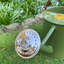Metal Watering Can-75050055
