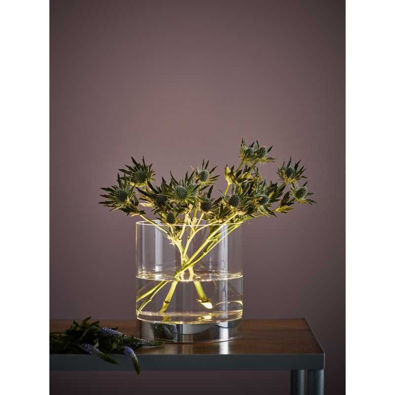 Kately Metal Novelty Lamp