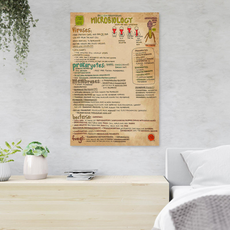 Information About Microbiology - By Oh-Soufflegirl Microbiology - 1 pièce, impression d'art graphique rectangulaire sur toile tendue