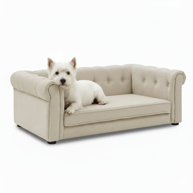 Élégant lit pour animal de compagnie rectangulaire conçu pour les chiens de petite et moyenne taille, canapé pour chien surélevé durable, canapé pour chien moelleux, canapé pour chien contemporain et élégant - beige