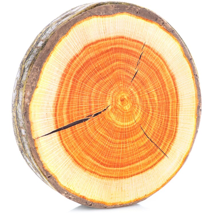 Tree Trunk Slices -  Canada