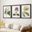 Antique Botanical Collection-369162312