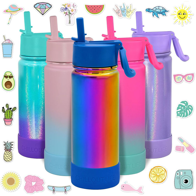https://assets.wfcdn.com/im/57204499/resize-h755-w755%5Ecompr-r85/2555/255530675/CHILLOUT+LIFE+17oz.+Stainless+Steel+Water+Bottle.jpg