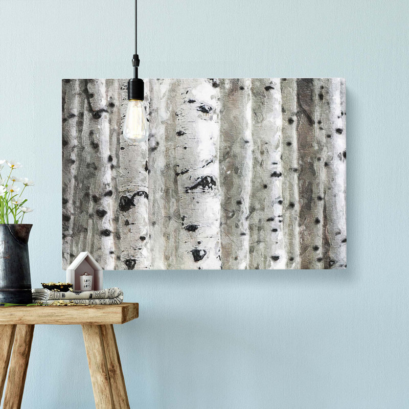 Silver Birch Tree Forest - Wrapped Canvas, 35cm H x 50cm W x 3cm D