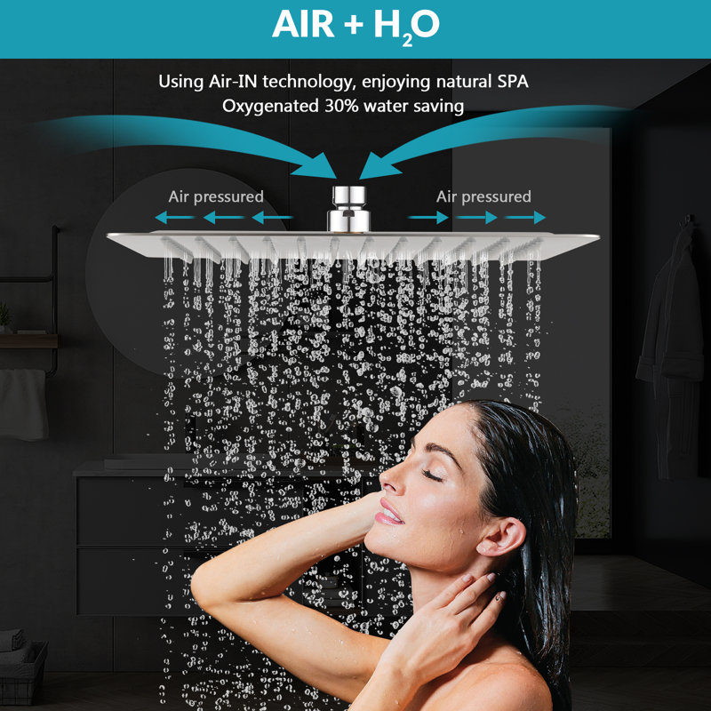 Rain Adjustable Shower Head 2.0 GPM GPM, Chrome