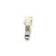 Sofia 4 - Light LED Vanity Light