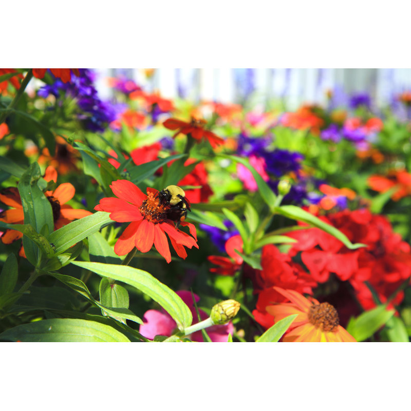 Summer Garden Border by Diane Labombarbe, 20" H x 30" W
